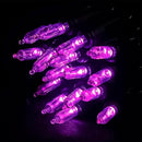 MULTI-SPARKING Purple LED Halloween Lights - 100 Count Purple Christmas String Lights for Tree, Party, Holiday, Indoor and Outdoor Halloween Decorations, 33 Feet Black Wire, UL Certified, Connectable by GreenHaven Gardens