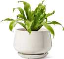 LE TAUCI Ceramic Planters, 10 Inch Pots for Plants, Indoor Plant Pots with Drainage Holes and Saucers, Modern Planters Fit Mid Century Plant Stand, Flower Pots for Indoor Plants, Reactive Glaze Beige by GreenHaven Gardens