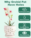 vensovo 5 Inch Ceramic Orchid Pots with Holes and Saucers - 1 Pcs Small Succulent Pot for Repotting, Garden Flowerpots for Plants Indoor and Outdoor Promotes Air Circulation, White by GreenHaven Gardens