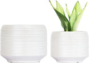 8 Inch + 6 Inch Ceramic Plant Pots Indoor with Drainage – Flower Pot Set, Decorative Indoor Planters for House Plants and Garden Use by CozyNest Decor