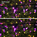 Brizled Purple Halloween Lights, 33ft 100 LED Halloween Lights Outdoor, Connectable Purple String Light 120V UL Certified Christmas Tree Light, Indoor Xmas Light for Xmas Tree Party Home Decorations by TinyTreasures Baby Boutique