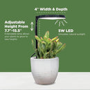 AeroGarden Stem Grow Light for Indoor Plants, Grow Live Plants Anywhere in The Home, Adjustable Light Modes, Black (Only Light) by GreenHaven Gardens