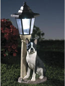 Bits and Pieces - Solar Dog Lantern-Solar Powered Garden Lantern - Resin Dog Sculpture with LED Light (Boston Terrier) by GreenHaven Gardens