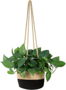 Hanging Planter Basket Jute Rope Woven Plant Hangers Indoor Hanging Plant Holder Up to 7" Pot Macrame Modern Storage Organizer Home Decor (Jute-Black) by GreenHaven Gardens