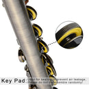 EASTROCK Closed Hole Flutes C 16 Key for Beginner, Kids, Student -Antique Flute with Case Stand and Cleaning kit by TinyTreasures Baby Boutique