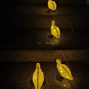 1 set Shaped Solar Lawn Lamp LED Outdoor Garden Lights Decorative Solar Pathway Lights Lawn Yard Patio Landscape Solar Lights Outside by GreenHaven Gardens