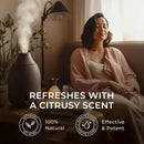 Gya Labs Orange Essential Oil for Diffuser & Skin - Huge 4 Fl Oz - 100% Pure Natural Sweet Orange Oil for Massage, Face, Cleaning & Candle Making Scent by CozyNest Decor