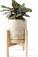 8 Inch Plant Pot with Stand, Ceramic Planter with Drainage Holes, Saucers and Mesh Pads for Indoor-Outdoor Plants by CozyNest Decor