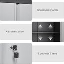 Metal Wall Cabinet,Locking Cabinet with Shelves,Wall Mounted Storage Cabinet1 for Basement,Home,Garage,Gray by CozyNest Decor