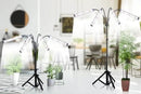 Grow Light with Stand, 200W 6000K Full Spectrum Gooseneck Floor Plant Light for Indoor Plants Growing,5 Dimmable Levels & Auto On/Off Timer, Tripod Stand Adjustable 15-48 in by GreenHaven Gardens