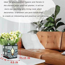 Gray Cat Glass Planter, Cat Plant Pots Indoor, Unique Small Gray Cat Planter, Glass Gap Automatic Drainage System and Base Saucer, Window Sill Cat Decoration Gift,4.6x5.15x2.3IN (Gray) by GreenHaven Gardens