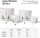 4/5/6 Inches Ceramic Plant Pots with Drainage Holes and Saucers, Round Flower Pots for Indoor Plant, Small Flower Planters Set of 3 (White Floral-Big Size) by CozyNest Decor