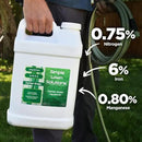 Simple Lawn Solutions - Liquid Iron Darker Green - Chelated Micronutrients - Concentrated Booster for Lawn, Indoor Plants and Outdoor Garden (2.5 Gallon) by GreenHaven Gardens