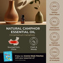 Gya Labs Camphor Oil - 0.34 Fl Oz - 100% Pure Natural Camphor Oil for Skin, Hair, DIY, Aromatherapy - Fresh Sharp & Slightly Woody & for Candle Making Scent by CozyNest Decor