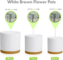 8/7/6 inch Plant Pots, 3 Pack Cylinder Flower Pots for Outdoor Indoor Plants, Decorative Plastic Planters with Drainage Holes and Saucers for Garden House Plants, White with Brown by GreenHaven Gardens