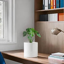 Docrin Ceramic Planters Indoor: 8 Inch Plant Pots with Drainage Holes for Home/Office - White Honeycomb by GreenHaven Gardens