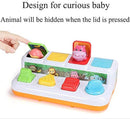 Animal Park Interactive Pop Up Music Toy,Up- Early Education Activity Center Toy, Ages 7 8 9 10 11 12 Months and up Infant Toddlers Toys. by TinyTreasures Baby Boutique