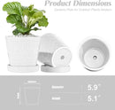 BUYMAX Plant Pots Indoor –6 inch Ceramic Flower Pot with Drainage Hole and Ceramic Tray - Gardening Home Desktop Office Windowsill Decoration Gift, Set of 2(White) by GreenHaven Gardens