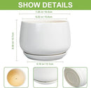 G EPGardening Ceramic Pots for Plants - 7 Inch Planter for Indoor Plants, Round Flower Pots with Drainage and Saucer, Modern Outdoor Planter, Garden Decor, Home Gifts, White by GreenHaven Gardens