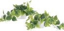Tiita 2 Pack Fake Plants Artificial Scindapsus Aureus in Pots, Realistic Fake Greenery Potted Plants for Home Office Desk Window Sill Bathroom Bedroom Outdoor Indoor by CozyNest Decor