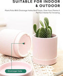 LaDoVita 3 Pack Ceramic Plant Pots 6/5/4 inch, Flowerpot for Indoor Plants with Drainage Holes and Tray, Outdoor Garden Planters, Modern Decorative for Home, Pink Vertical Stripes by GreenHaven Gardens
