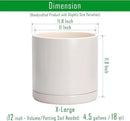 D'vine Dev 12 Inch Ceramic Planter Pot with Drainage Hole and Saucer, Indoor Cylinder Round Planter Pot, Oatmeal, 94-O-F-8