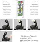 Cordless Spotlight Battery Operated, LED Plant Light, Dimmable Accent Light with Remote, Indoor Display Up Lighting for Picture Photo Tree Dartboard Wall Decor Painting Artwork Portrait by CozyNest Decor
