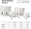 Ceramic Plant Pots with Drainage Holes and Saucers, Round White Flower Pots for Indoor Plant, Diameter 3.3/4.3/5.5 Inches Small Flower Planters Set of 3 by CozyNest Decor