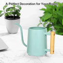 Watering Can Indoor Plants, 35 oz/1000 ml Metal Stainless Steel Watering Can Pot with Long Spout for Indoor House Plants Bonsai Outdoor Garden Flower Decorative (Green by GreenHaven Gardens