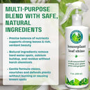 Houseplant Leaf Shine Spray – All-Natural Leaf Cleaner and Gloss for Healthy Shine & Better Photosynthesis | Perfect for House Plants and Foliage | 8 oz by GreenHaven Gardens