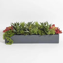 Oblong Faux Succulent Arrangement, Premium Artificial Indoor Plant Enhances Interior Design, Display on any Surface in Your Home Adding an Inviting Touch of Nature, Grey Planter Pot Included by GreenHaven Gardens