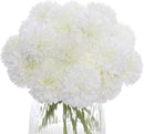 Kimura's Cabin 20Pcs Fake White Flowers Artificial Chrysanthemums Ball Flower Faux Silk Mums Flowers for Wedding Party Home Kitchen Table Core Decoration DIY Bouquets (White) by CozyNest Decor