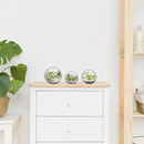 Mipcase 3 Pcs Plant Terrarium Plant Holder Terrarium Air Plant, 3 Round Glass Vase for Succulents, Clear Bubble Planter for Home Decor, Oblique Opening Glass Bowls Succulent Orbs Mini Tank by GreenHaven Gardens