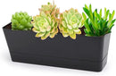 GREANER 12x3.8 Inch Herb Planters, 1 Pack Rectangle Window Boxes with Tray, Indoor Succulent Cactus Mint Plastic Pot for Windowsill, Balcony, Office, Outdoor Garden - Black by GreenHaven Gardens