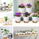 5 Pack 5 inch Self-Watering Pots, African Violets Planter with Drainage Holes and Reservoir, White Brown Plastic Planter for Indoor Outdoor Plants Flowers and Houseplants White Brown, 5 inch 5 pcs by GreenHaven Gardens