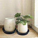 20 Inch Extra Large Plant Saucers, Extra-Deep 3.7 in Black Drip Trays for Flower Pot, Heavy Duty Drainage Tray Indoors No Holes, 3 Pack Plastic Planter Plate Water Catcher for Pots Base 16 17 18 in by GreenHaven Gardens