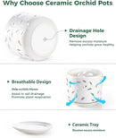 EFISPSS Orchid Pot with Holes, 5+6Inch Ceramic Plant Pots with Drainage Holes and Tray, Promoting Air Circulation and Drainage, Indoor/Outdoor White Flower Pots by GreenHaven Gardens