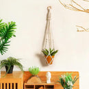 Artilady Plant Hanger Indoor Macrame Hanging Planters for Plants Holder Boho White Basket No Tassels Farmhouse Rustic Window Wall Decor by GreenHaven Gardens