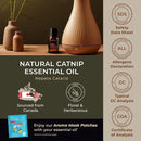 Gya Labs Catnip Essential Oil for Skin - 0.34 Fl Oz - 100% Pure Natural Catnip Oil for Diffuser, Massage & Candle Making Scent