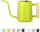 Watering Can Indoor Plants, 35oz Small Stainless Steel Metal Watering Can Modern Decorative Watering Pot with Long Spout for Indoor House Plant Bonsai Garden Flowers (Bright Green) by GreenHaven Gardens