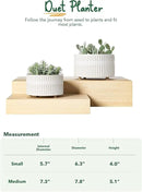 LE TAUCI Succulent Pots, 6.5+8 Inch Ceramic Indoor Plant Pot with Drainage Hole, Modern Round Decorative Flower Pot, Set of 2, Reactive Glaze White by GreenHaven Gardens
