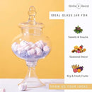 Stella Baic Hand-Blown Glass Apothecary Jar with Lid, Minimalist Style, Decorative Jar, Clear Glass Candy Jar, Height: 12.6", Diameter: 6.5 by CozyNest Decor
