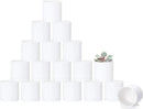 D'vine Dev 18 Pack 2.5 Inch Mini Plastic Plant Pots, Small Garden Planters for Plant with Drainage Holes and Saucers, White Color, 74-Z-B-5 by GreenHaven Gardens