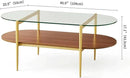 Oval Glass Coffee Table, Mid-Century Modern Design, L41 x W21 x H17 inch, for Living Room, 2-Tier Structure, Clear Glass Top and Walnut Finish Wood Shelf, Conical Legs with Gold Finish Frame by CozyNest Decor