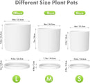 10/8/6 inch Deep Flower Pots, 3 Pack Cylinder Tall Plant Pots for Outdoor Indoor Plants, Large Decorative Plastic Planters with Drainage Holes and Saucers for Garden House Plants, White by GreenHaven Gardens