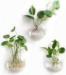 Mkono Wall Hanging Planter Propagation Station Glass Flower Vase for Hydroponics Plants, Bathroom, Home Office Living Room Decor Gift, Oblate Set of 3