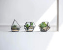 Mkono 4 Inches Mini Glass Geometric Terrarium Container Set of 3 Modern Tabletop Planter Shelves Decor Display Centerpiece for Succulent Miniature Fairy Garden Air Plant, Black(Plant Not Included) by CozyNest Decor