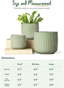 LE TAUCI Fluted Ceramic Planters Set of 3 – 8.3/7 / 5.7 in Sage Green Reactive Cylinder Indoor Plant Pots with Drainage Plug & Mesh, Glossy Stoneware Flower Pots for Succulents Herbs by CozyNest Decor