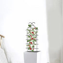 ARIFARO 24'' Metal Garden Trellis for Climbing Plants, Indoor/Outdoor Sturdy Plant Trellis for Potted Plants,House Plants, Climbing Vines, Pack of 4, Black by GreenHaven Gardens