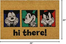 Gertmenian Disney Mouse Doormat Rug Front Door Coir Mat Welcome Home Indoor Outdoor Entryway Carpet, 2-Pack 20x34, Retro Mickey Faces/Hi There by CozyNest Decor
